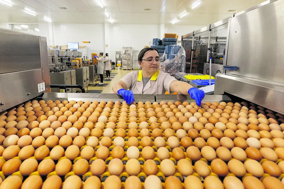 Mesa da Páscoa fica mais cara: Preço dos ovos e da carne dispara