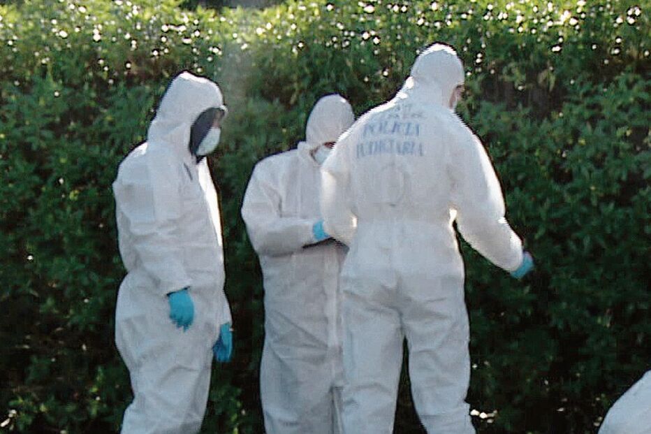 Capturado sem-abrigo que sufocou companheira até à morte 