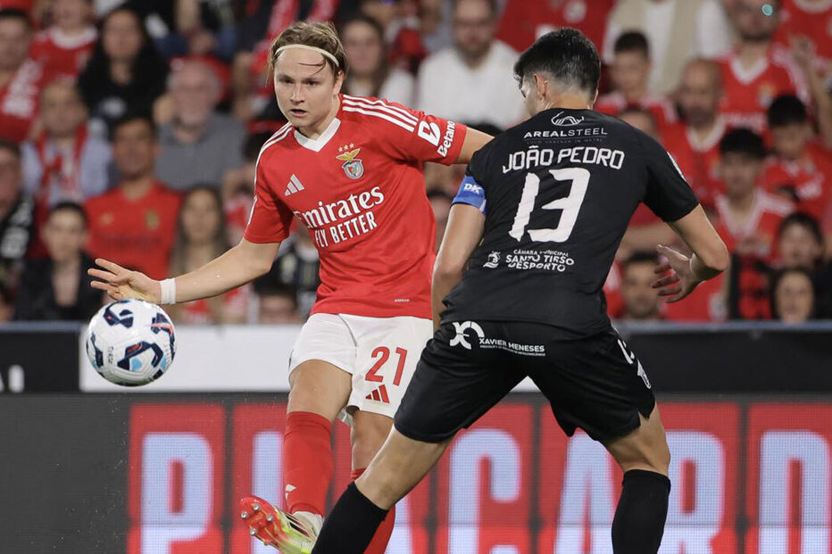 Schjelderup em ação