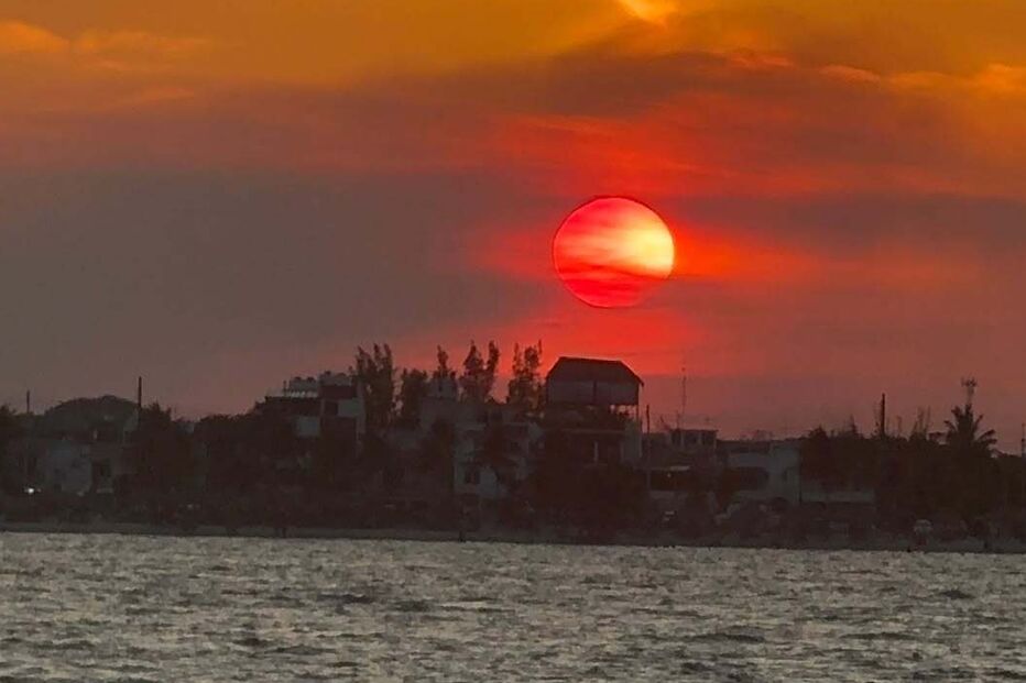 Sofia Ribeiro no México