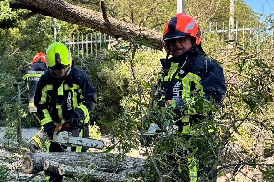 Criança de 8 anos atingida por árvore em Santo António dos Cavaleiros