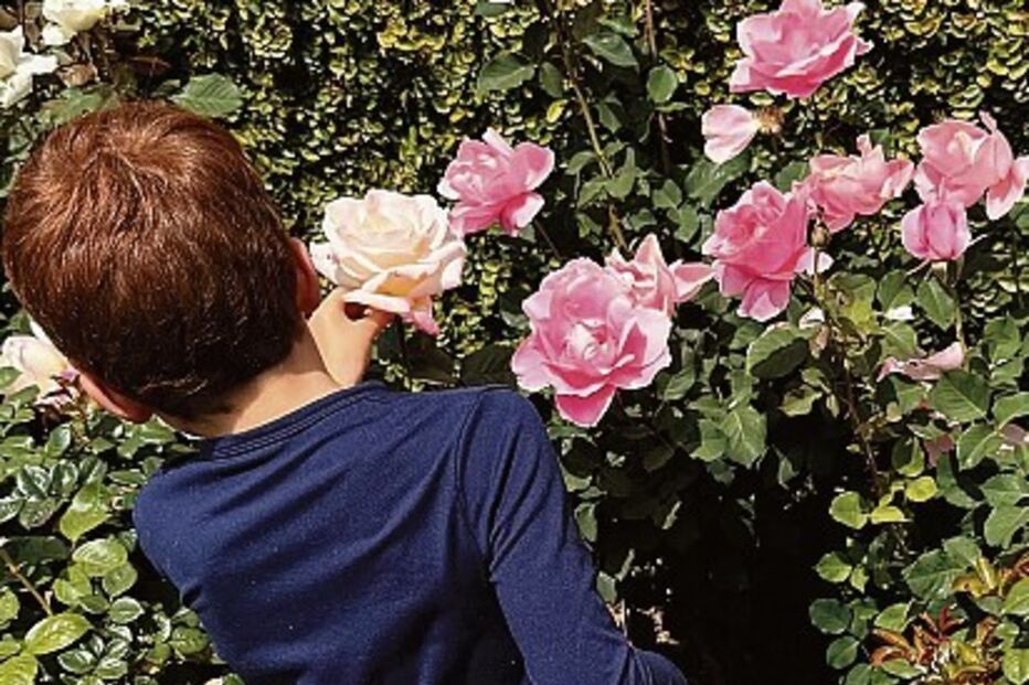 Archie, de cinco anos, mostrou-se muito curioso