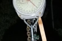 WhatsApp Image 2025-05-01 at 15.40.45 (6).jpeg