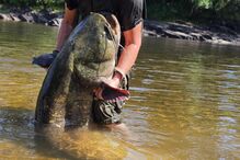 WhatsApp Image 2025-05-01 at 15.40.45 (10).jpeg