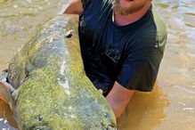 WhatsApp Image 2025-05-01 at 15.40.44.jpeg