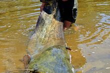 WhatsApp Image 2025-05-01 at 15.40.29.jpeg