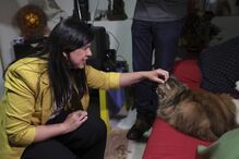 Inês Sousa Real, PAN