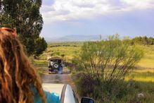 2025-05-16_18_25_07 Herdade dos Abegões (89).jpg