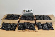 GNR apreende tabaco de mascar e papoila-seca em Olhão