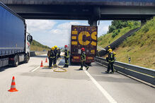 Galera de camião que transportava sofás consumida pelas chamas em Condeixa a Nova