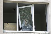 Rússia atinge Kiev com drones e mísseis balísticos