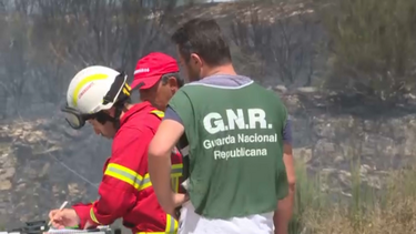 GNR reforça vigilância das florestas contra incêndios e já deteve 18 pessoas