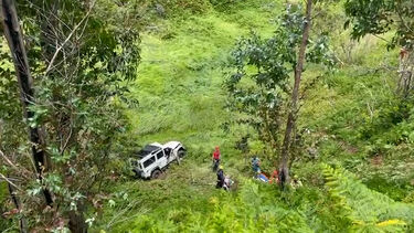Sete feridos em despiste de viatura turística na Madeira