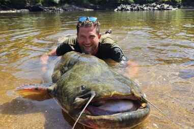 Siluro gigante foi capturado nas águas do rio Pônsul