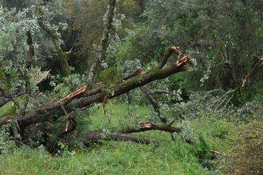 Sardoal estima custo de reparações das tempestades superior a 10 milhões de euros