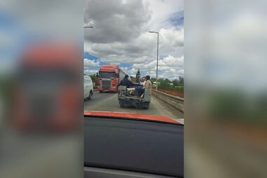 Caravana da AD visita arrozal e vai para almoço de clássico descapotável