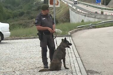 Polícia Municipal apreende material contrafeito e duas viaturas em rusga junto à Torre de Belém