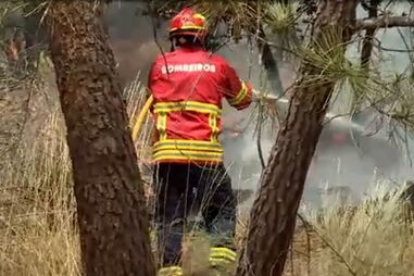 PJ detém suspeito de atear fogo com isqueiro em Mangualde