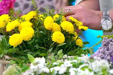 Filipa Briz faz em direto do ‘Manhã CM’ um arranjo de flores de Primavera 