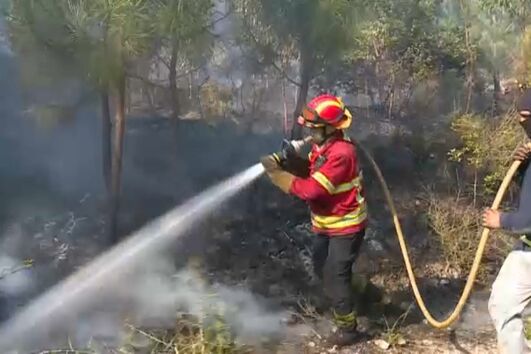 Relatório europeu alerta para "aumento da mortalidade" em Portugal associada aos fogos
