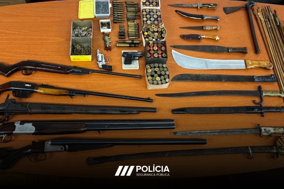 Armas apreendidas
