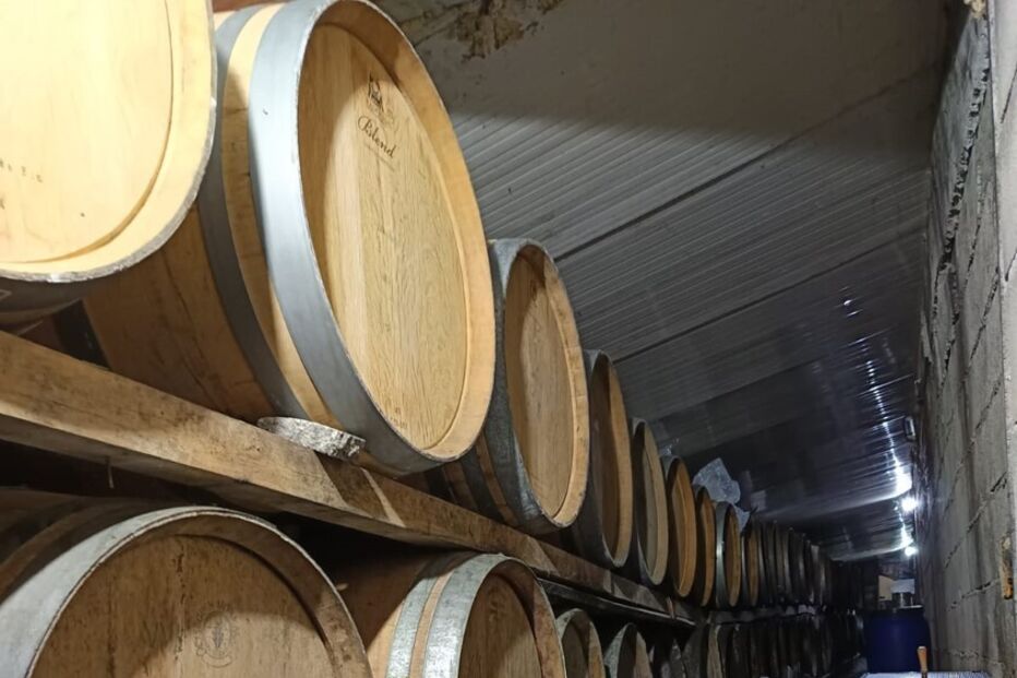 Adega onde a GNR apreendeu as bebidas