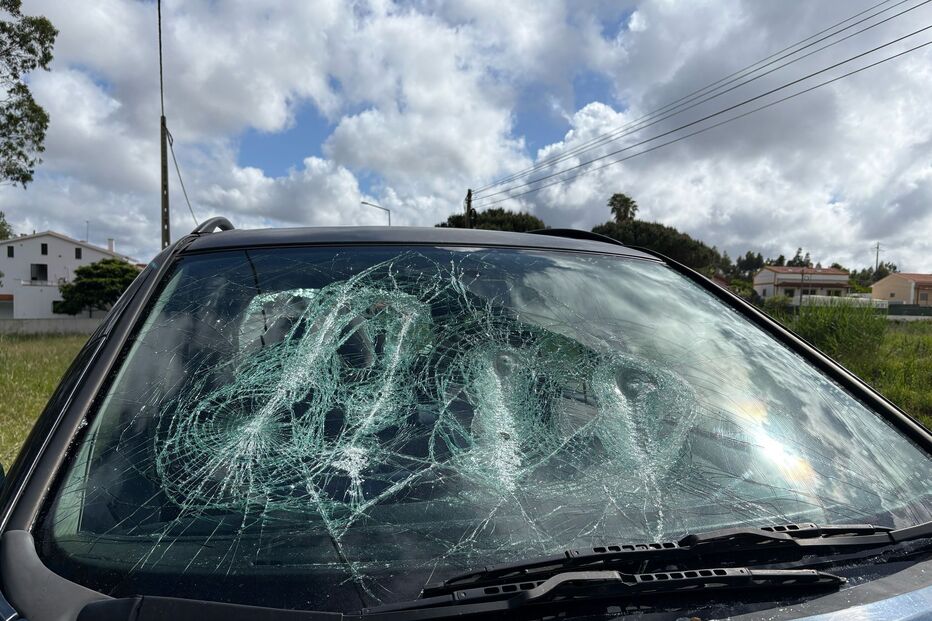 Três feridos em rixa no trânsito nas Caldas da Rainha