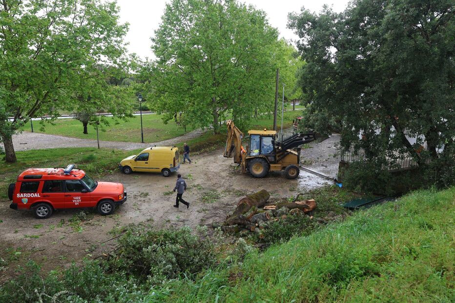 Fenómeno extremo de vento atinge Sardoal 