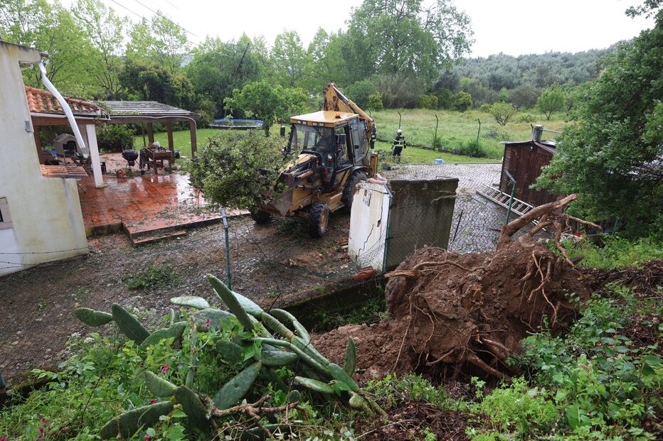 Fenómeno extremo de vento atinge Sardoal 