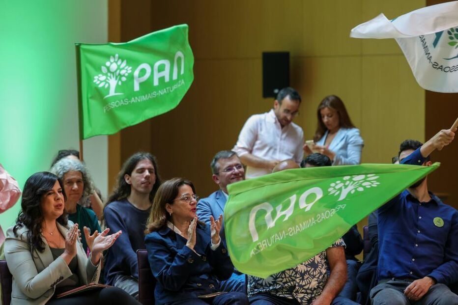 Inês Sousa Real, PAN