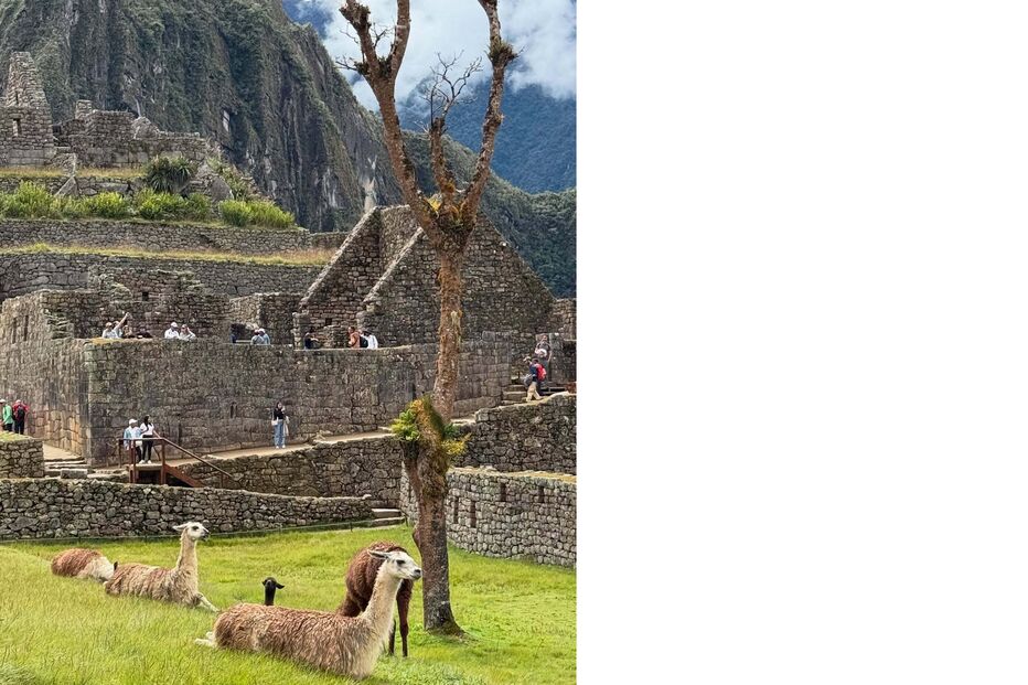 Isabel Figueira em Machu Picchu