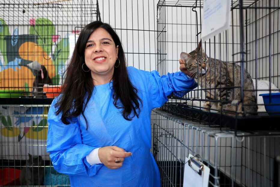 Inês Sousa Real, PAN