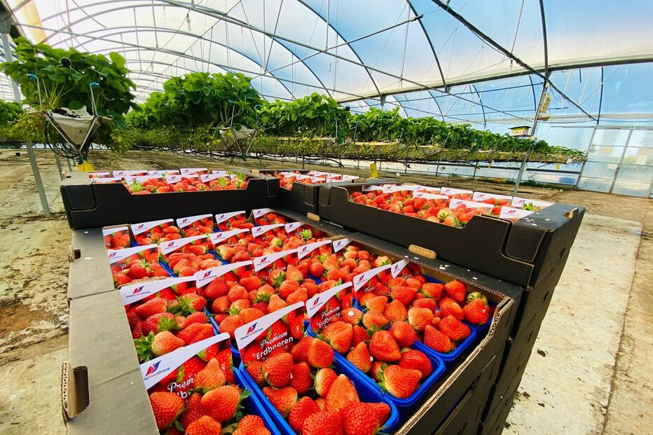 WhatsApp Image 2025-05-06 at 21.36.45.jpeg