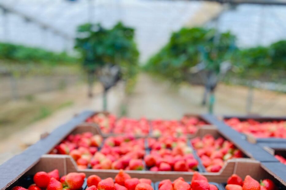 WhatsApp Image 2025-05-06 at 21.36.45 (1).jpeg