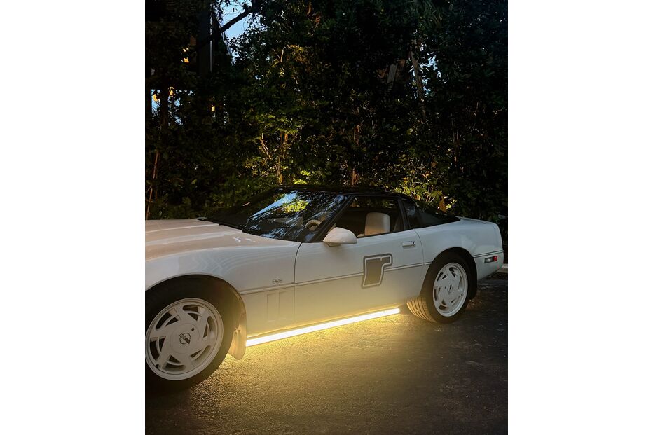 Francisca Cerqueira Gomes diverte-se com celebridades internacionais