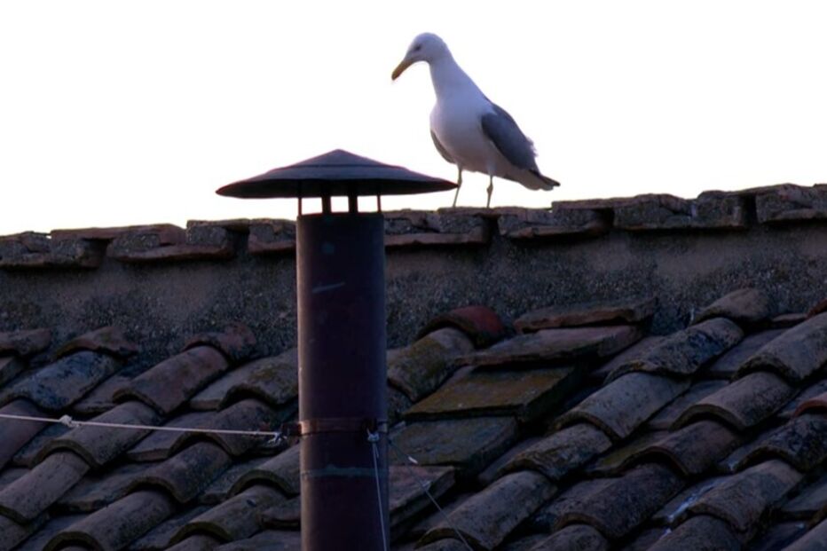 Chaminé na Capela Sistina