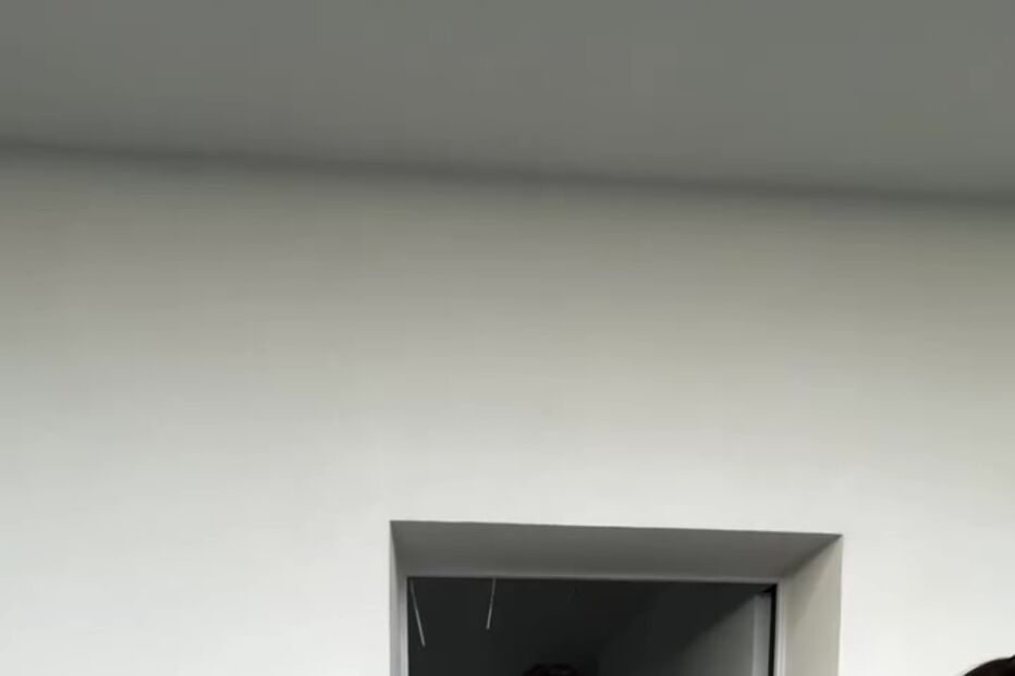 José Condessa com a namorada, Luisinha Oliveira, na nova casa