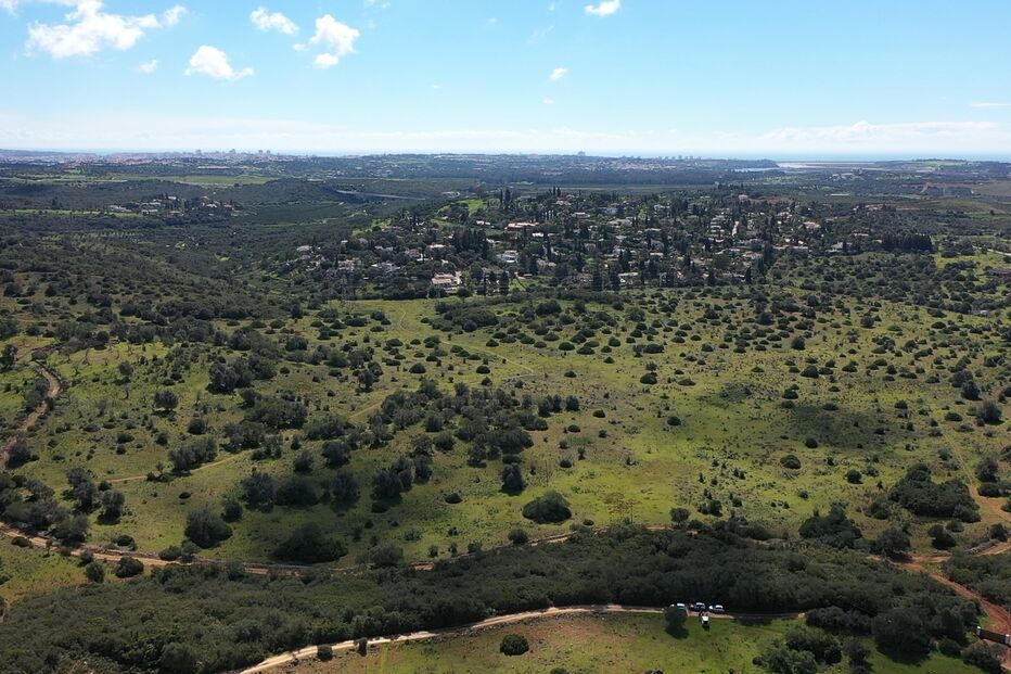 Terreno arrestado avaliado em três milhões de euros vendido a preço de saldo durante as férias judiciais
