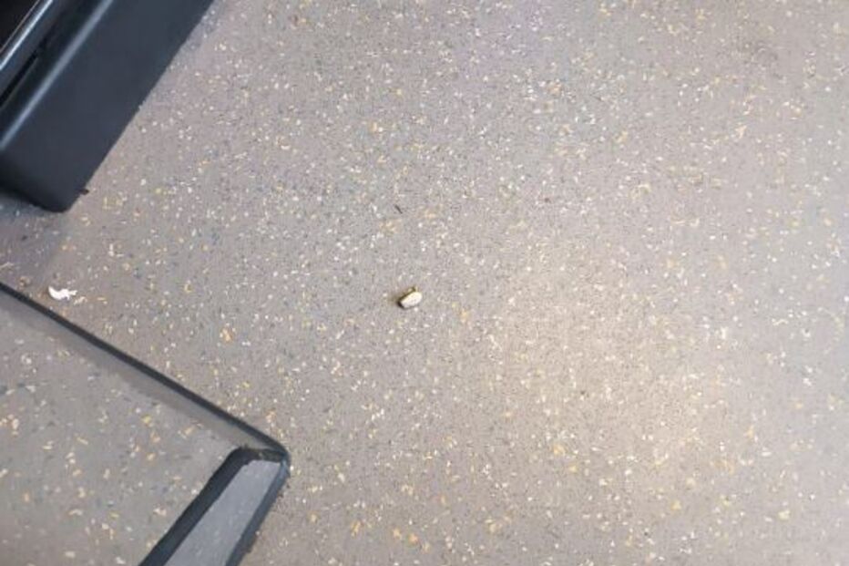 Agente da PSP dispara cinco vezes contra autocarro em rixa de trânsito em Loures