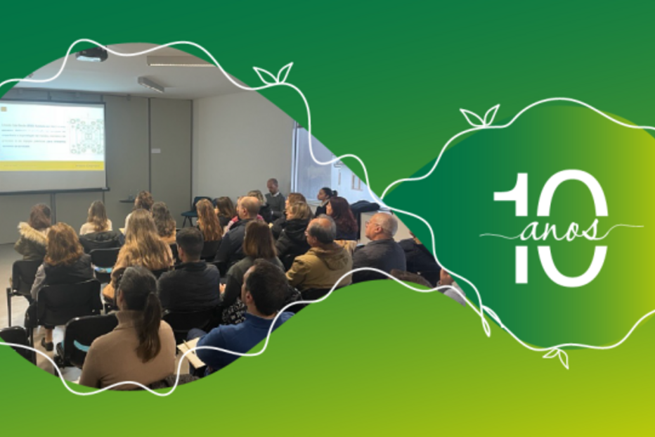 2025-05-13_10_57_18 honepage_1920x580_pt_15230096836818a8622cab1.png