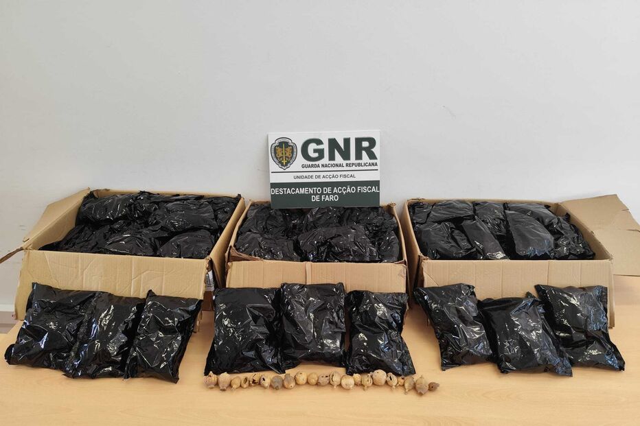 GNR apreende tabaco de mascar e papoila-seca em Olhão