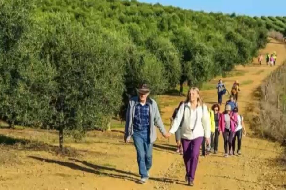 'Arrependi-me de o ter feito': Fernando roubou cartão multibanco a casal idoso que apareceu morto em Baleizão