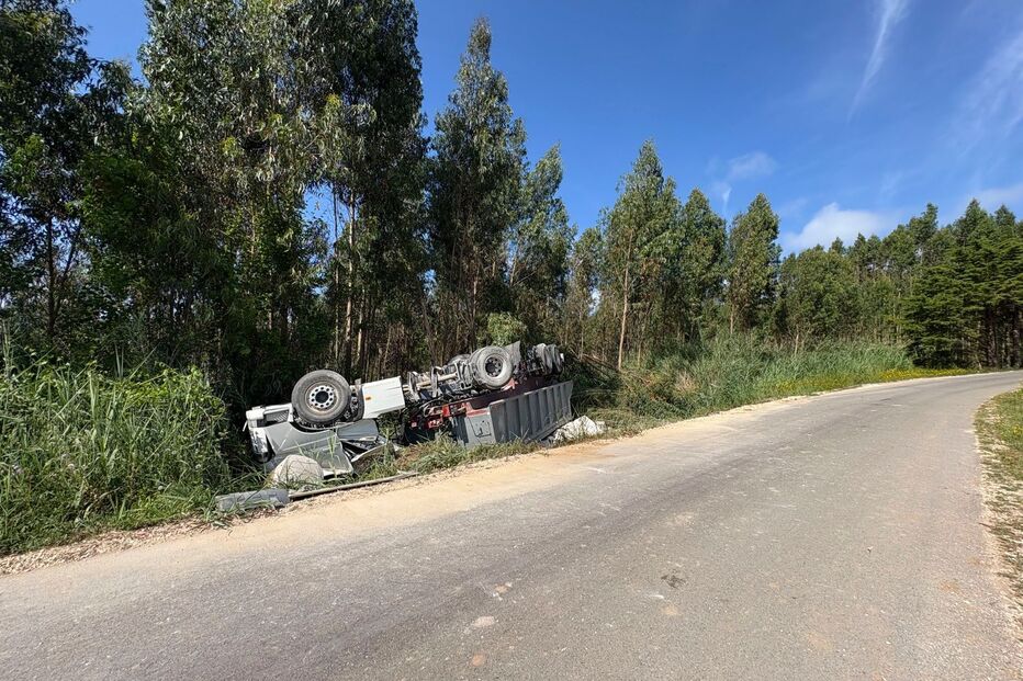 Camião despista-se