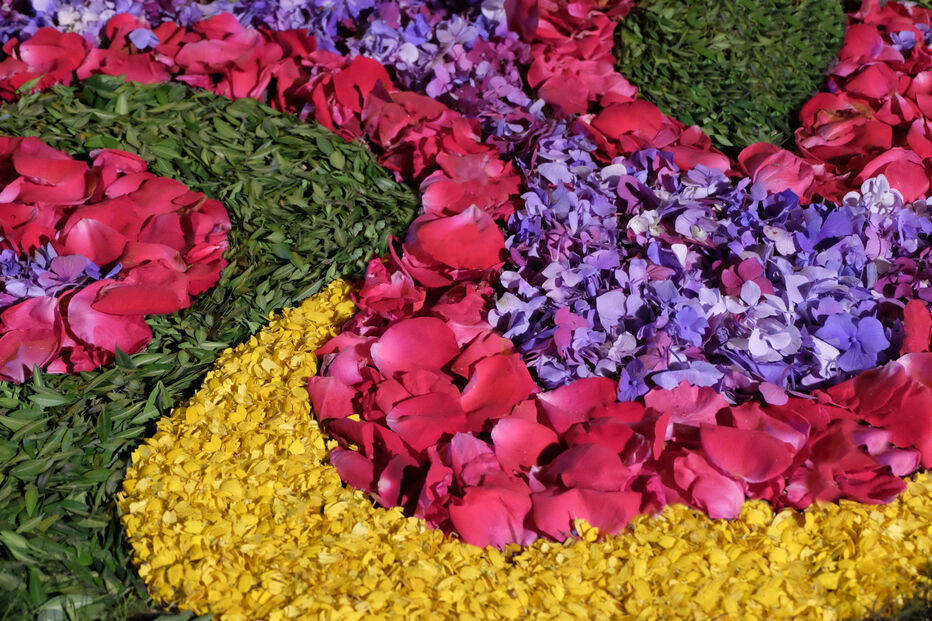 Os Tapetes de Flores são um dos momentos mais marcantes das Festas do corpo de Deus