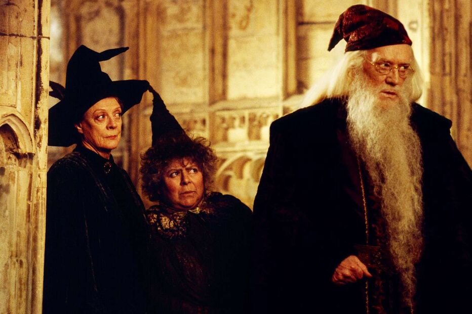 miriam-margolyes-harry-potter-061024-1-996599a3731548eeb25569a4911acc58.jpg