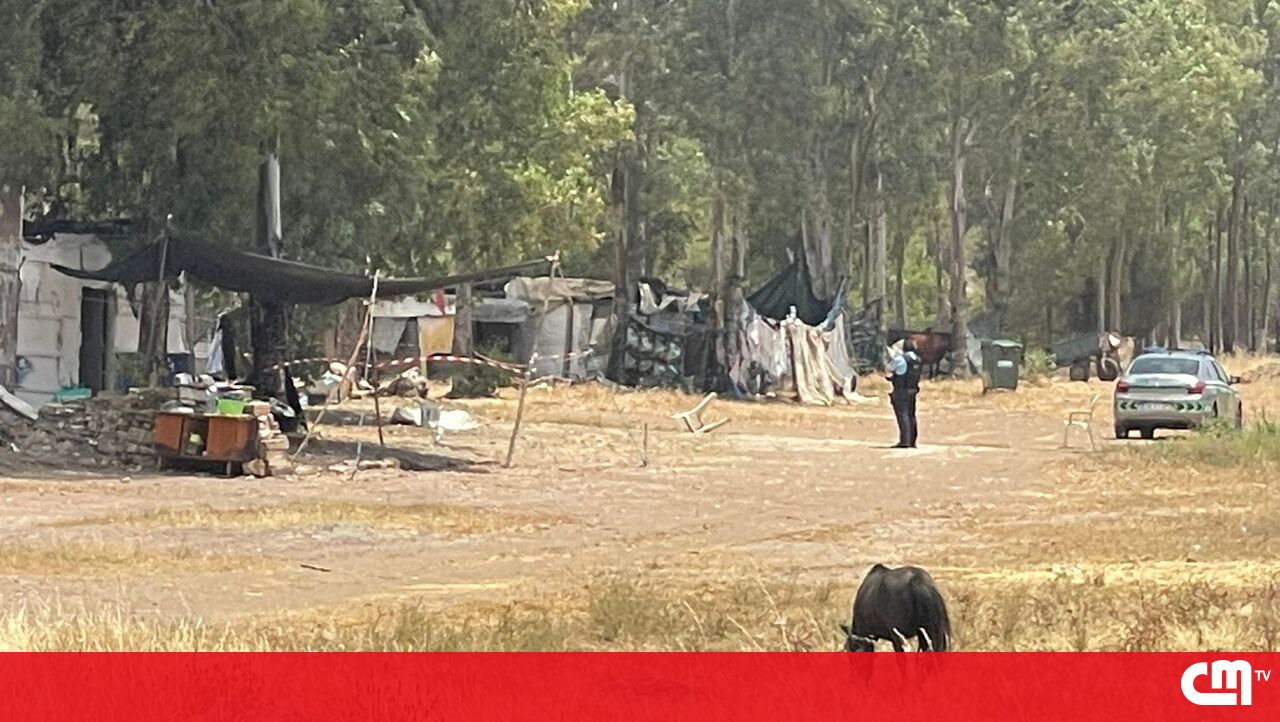 Shocking Family Feud in Amareleja: Brother Instigates Father to Kill Over Horse Deal