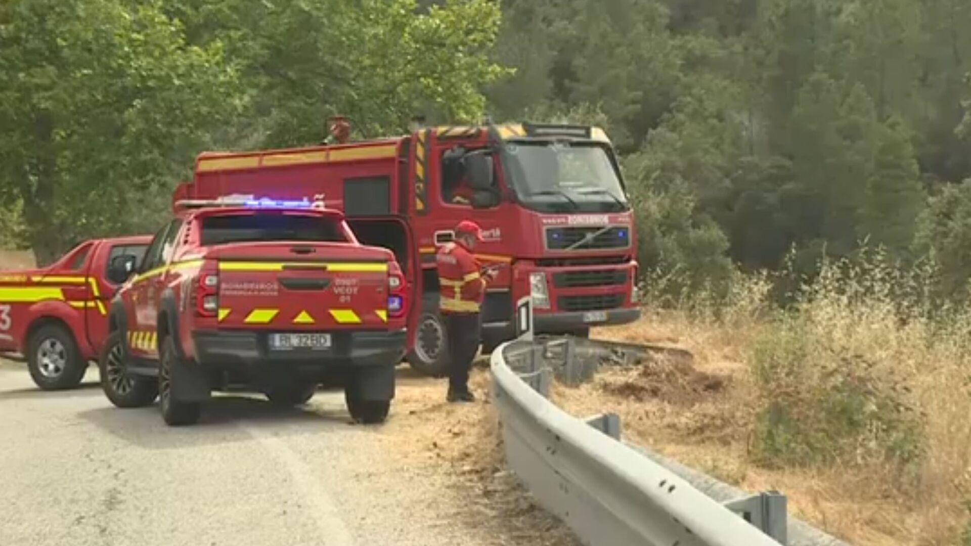 Fogo dominado em Castelo Branco. Mais de 80 operacionais e sete meios aéreos acionados para o combate às chamas