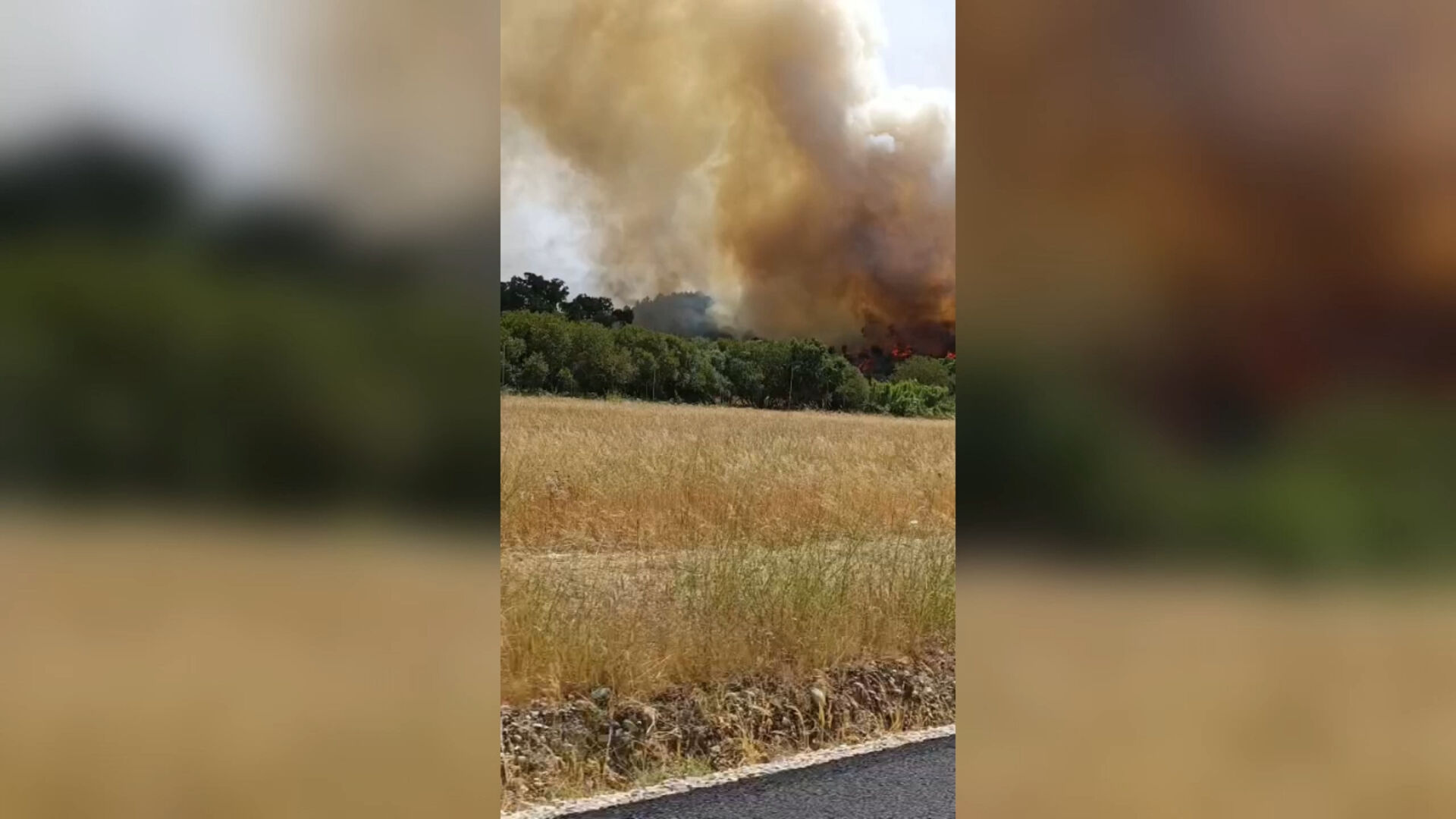 Fogo em Abrantes mobiliza 190 operacionais e sete meios aéreos