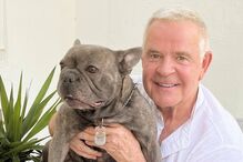 Homem sorri com um buldogue francês ao colo