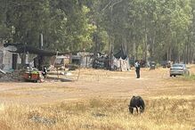 PJ investiga morte de homem baleado pelo pai, na Amareleja, Moura